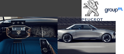 Influencer marketing for Peugeot - Réseaux sociaux