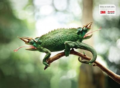 Chameleon - Publicité