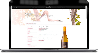 Website para marca elaboradora de vinos y cavas - Creación de Sitios Web