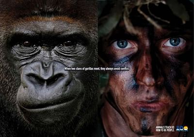 Gorillas - Publicidad