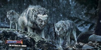 WOLVES - Reclame