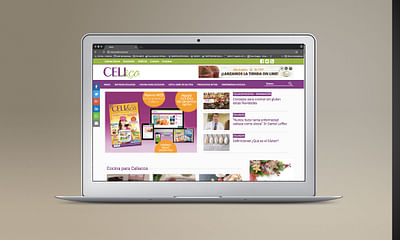 Web Celi&co - Creación de Sitios Web