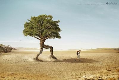 Tree - Publicité