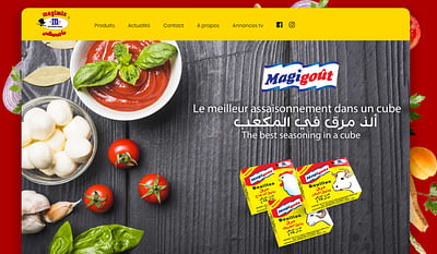 Site internet Magimix Algérie - Webseitengestaltung
