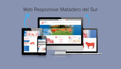 Diseño de Web Responsive para Matadero del Sur - Fotografía
