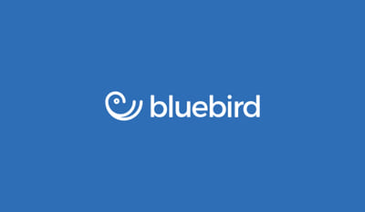 The BlueBird Media Rebrand - Website Creatie