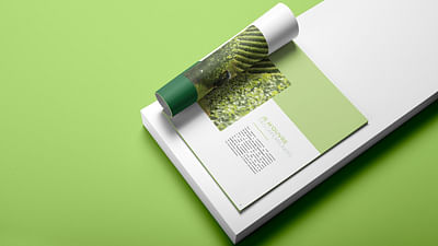 Définition du discours, site internet, branding - Image de marque & branding