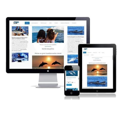 Création d'un site web pour un acteur du tourisme - Création de site internet