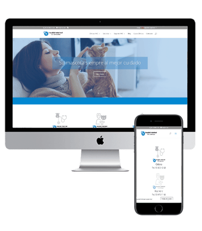 Desarrollo Web y Posicionamiento Orgánico - Creación de Sitios Web