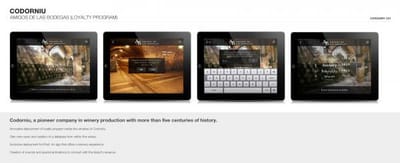 AMIGOS DE LAS BODEGAS - Website Creation