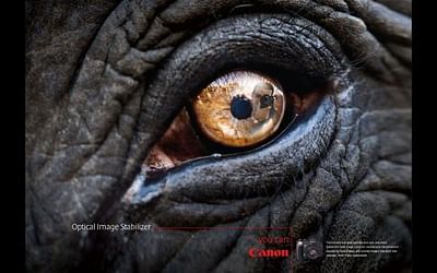 ELEPHANT EYE - Werbung