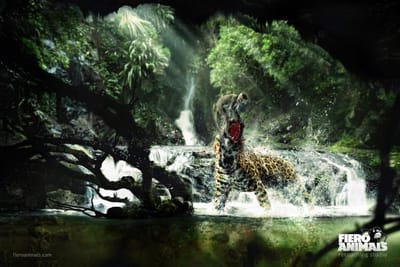 Jaguar & Monkey - Advertising