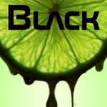 BlackLime Hosting, LLC. logo