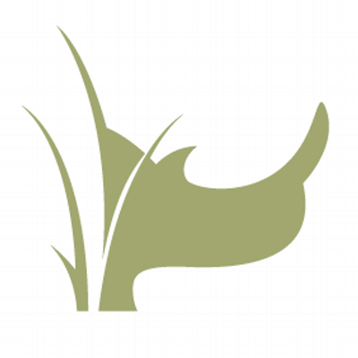 White Rhino Productions