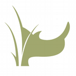 White Rhino Productions
