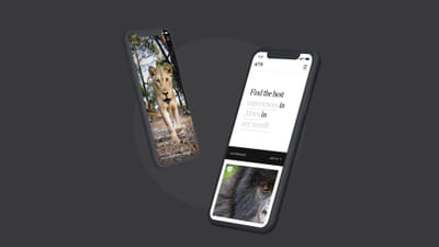 Africa Travel Resource Web Application - Ergonomy (UX/UI)