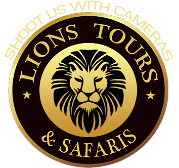 Website Design For Lions Tours and Safaris - Website Creation