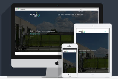 Diseño web para empresa microalgas - Creación de Sitios Web