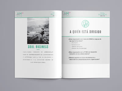 Identidad Corporativa Ana Merlino - Creación de Sitios Web