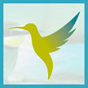 Colibri Creation logo