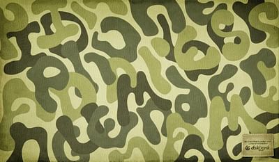 Camouflage, 1