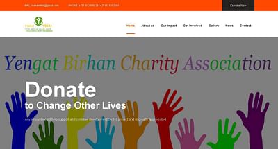 Yengat Birhan Charity Organization - Webseitengestaltung