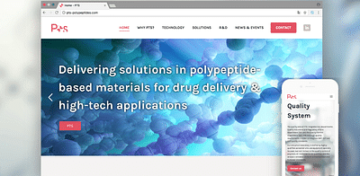 Diseño web PTS - Website Creatie