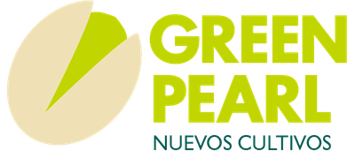 Gree Pearl - Website Creation