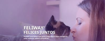 Redes Sociales & emailing - Email Marketing