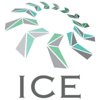 ICE Profession