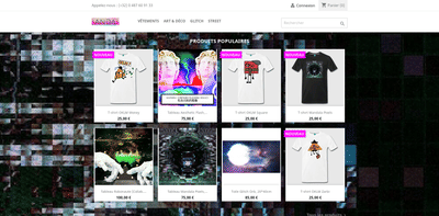 Anda (Axel Fiolle) Webshop - Website Creatie