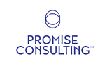 Promise Consulting | Panel On The Web