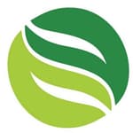 MediaMint logo