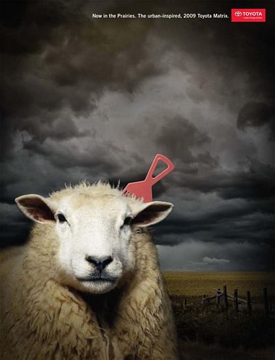 Sheep - Advertising
