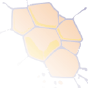 eWolutions