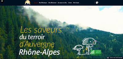 Mbiobox - Référencement naturel