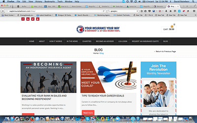 Eagle Insured Advisors - Blog Page - Branding & Positioning