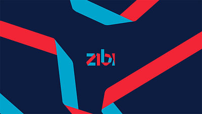 Zibi - Branding & Positioning