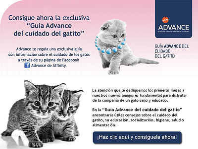 App Facebook Advance Cat - Web Applicatie