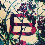 Steuerung B GmbH logo