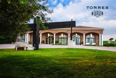 Consolidación del Grupo Bodegas Torres - Web analytique/Big data