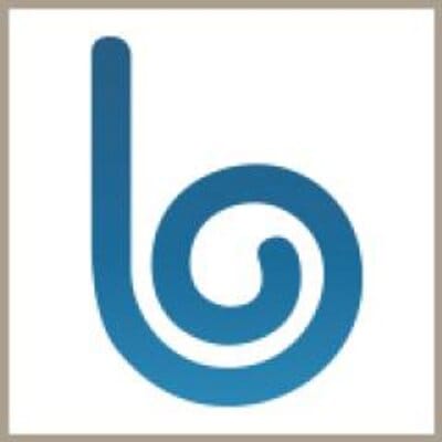 blu Marketing Solutions