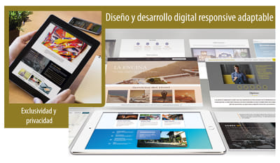 Diseño web - Diseño Gráfico