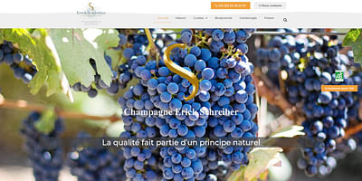 Champagne Erick Schreiber - Website Creation