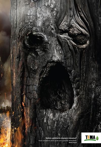 Crying Tree - Publicité