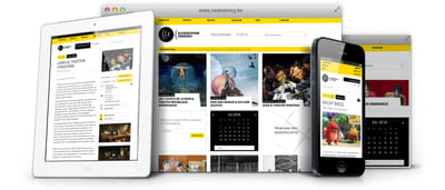Reponsive website voor cultuurcentrum Zwaneberg - Content Strategy