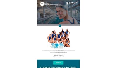 Empresa aseguradora - SEO