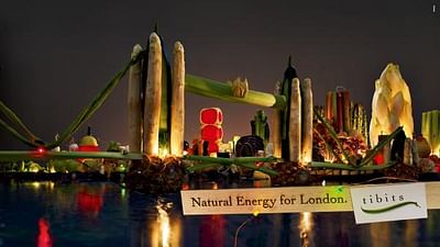 Natural energy, 1 - Advertising