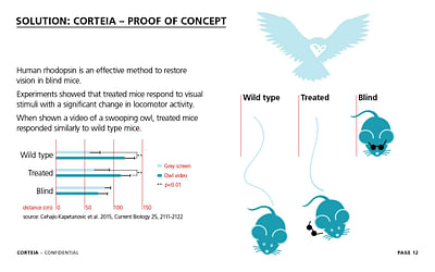 Fundraising presentation design - Graphic Design