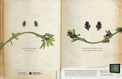 Alfalfa - Advertising